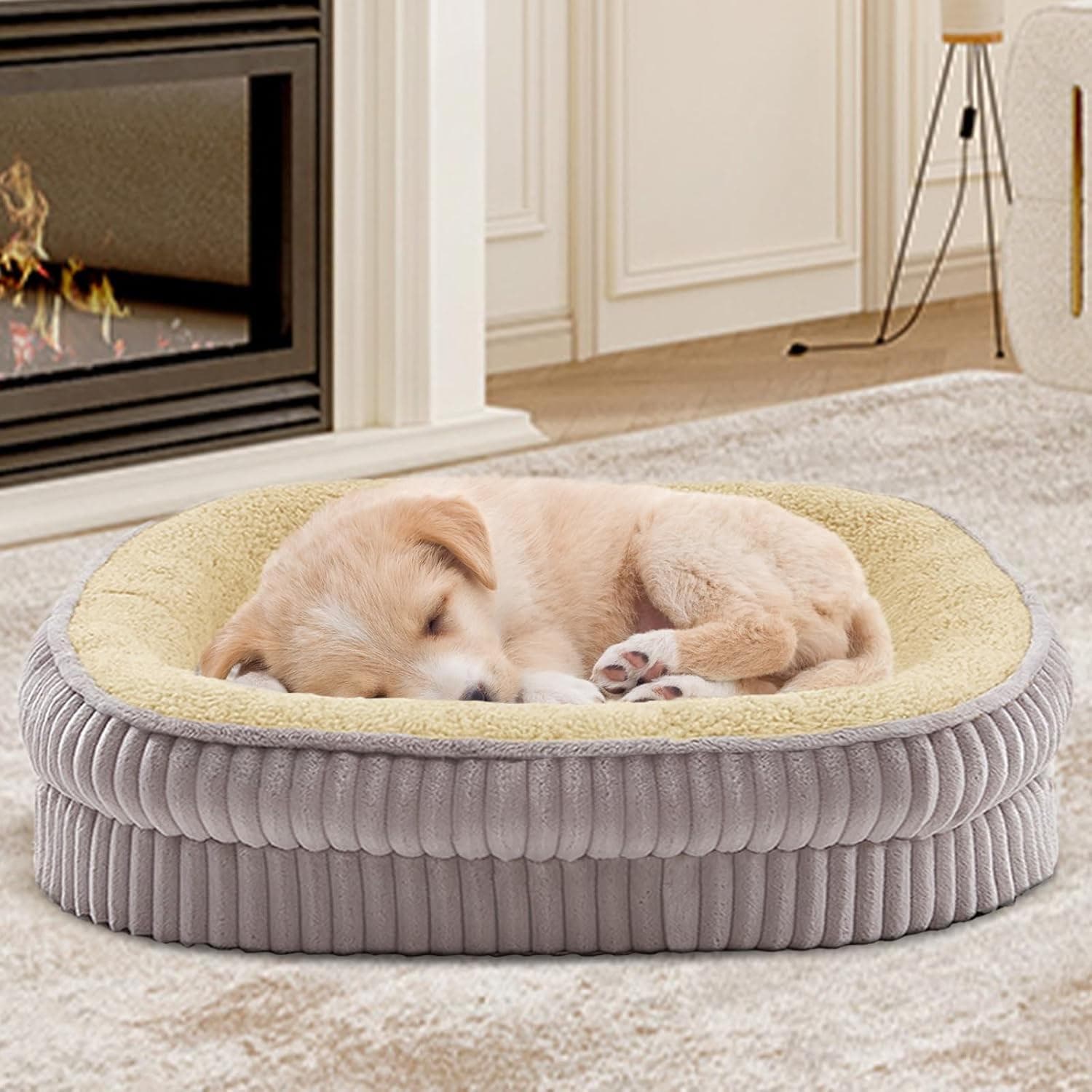 choose washable dog beds in the UK