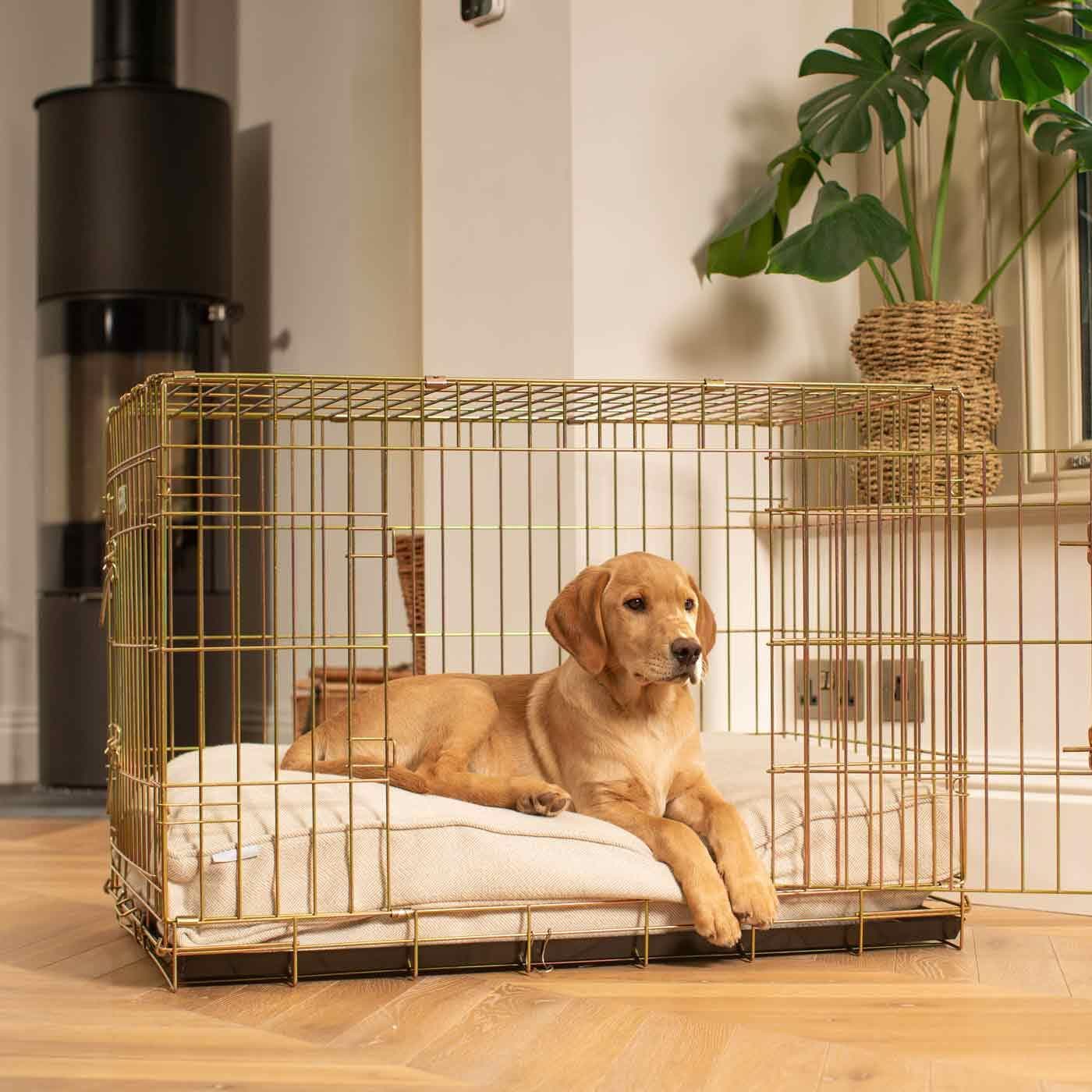 Dog resting on a padded mattress fitted inside a dog crate